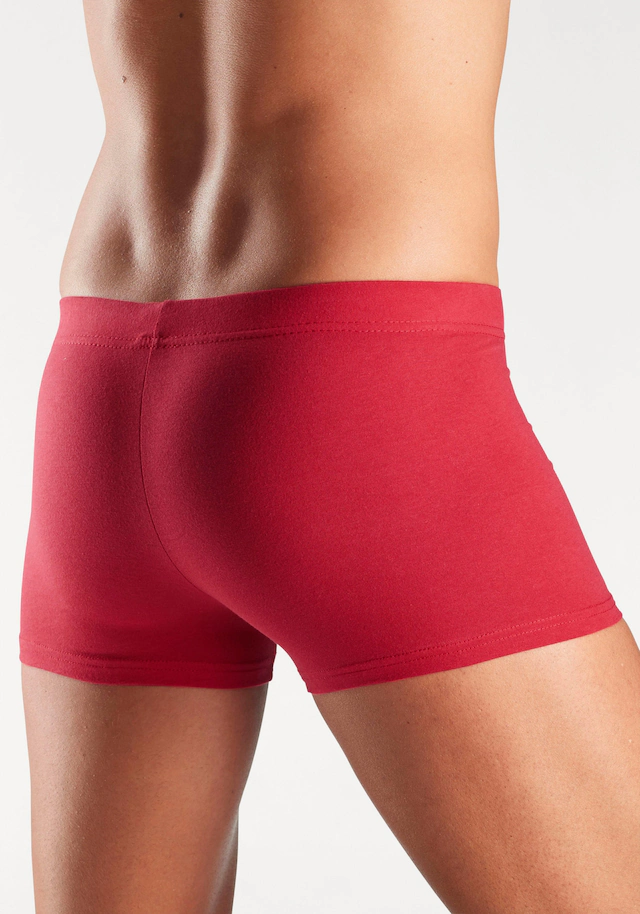 H.I.S Boxer »Boxershorts für Herren« Packung, 5 Stk. aus Baumwolle