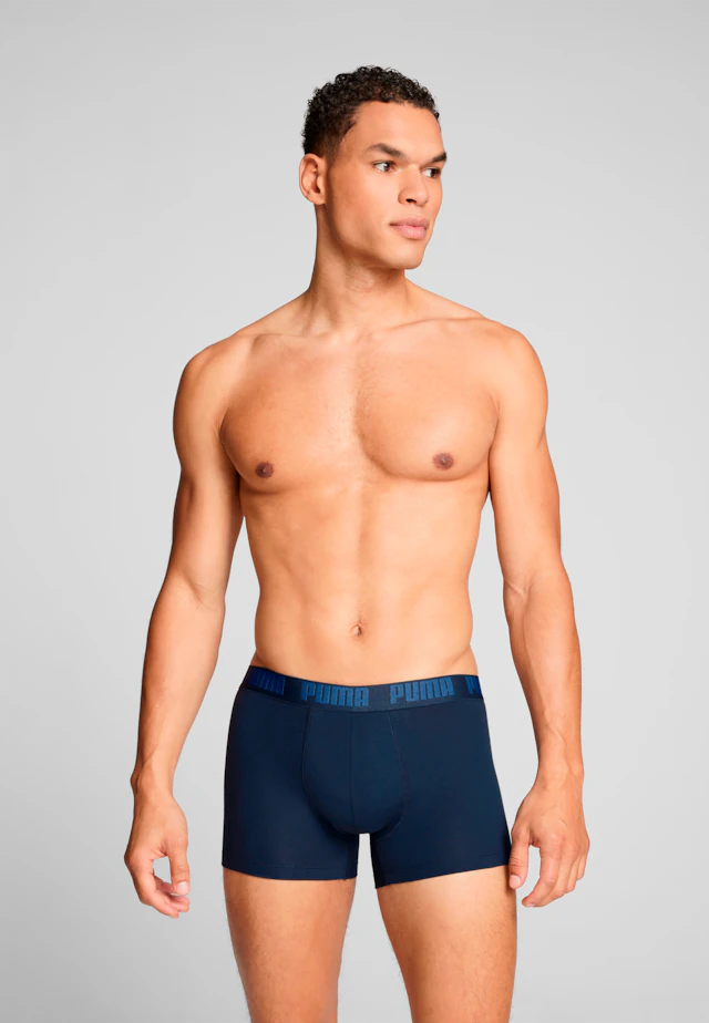 PUMA Boxershorts »PUMA MEN EVERYDAY BASIC BOXERS 2P« Packung, mit Puma Webbund