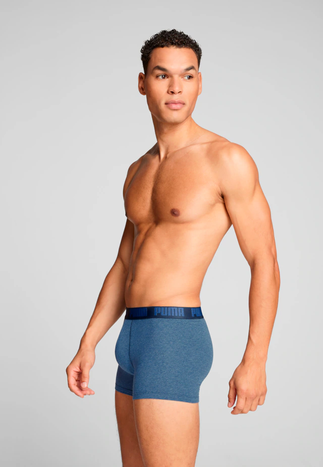 PUMA Boxershorts »PUMA MEN EVERYDAY BASIC BOXERS 2P« Packung, mit Puma Webbund