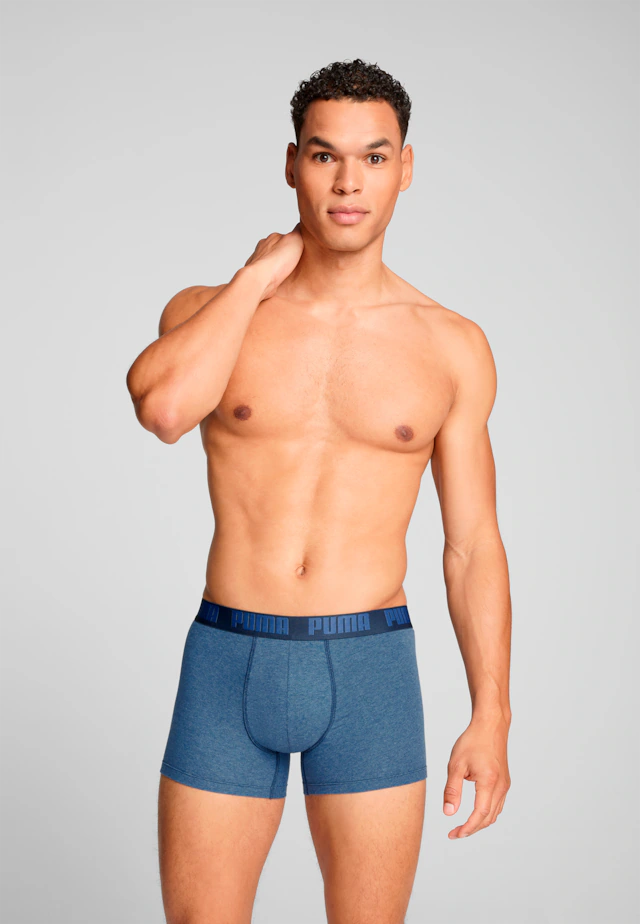 PUMA Boxershorts »PUMA MEN EVERYDAY BASIC BOXERS 2P« Packung, mit Puma Webbund
