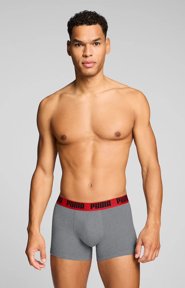 PUMA Boxershorts »PUMA MEN EVERYDAY BASIC BOXERS 2P« Packung, mit Puma Webbund