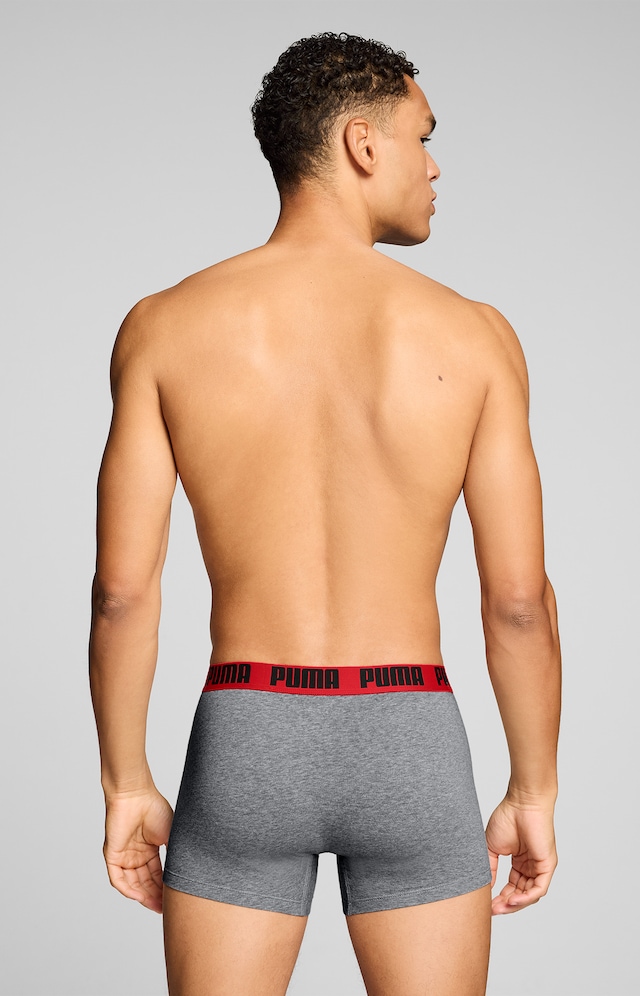 PUMA Boxershorts »PUMA MEN EVERYDAY BASIC BOXERS 2P« Packung, mit Puma Webbund