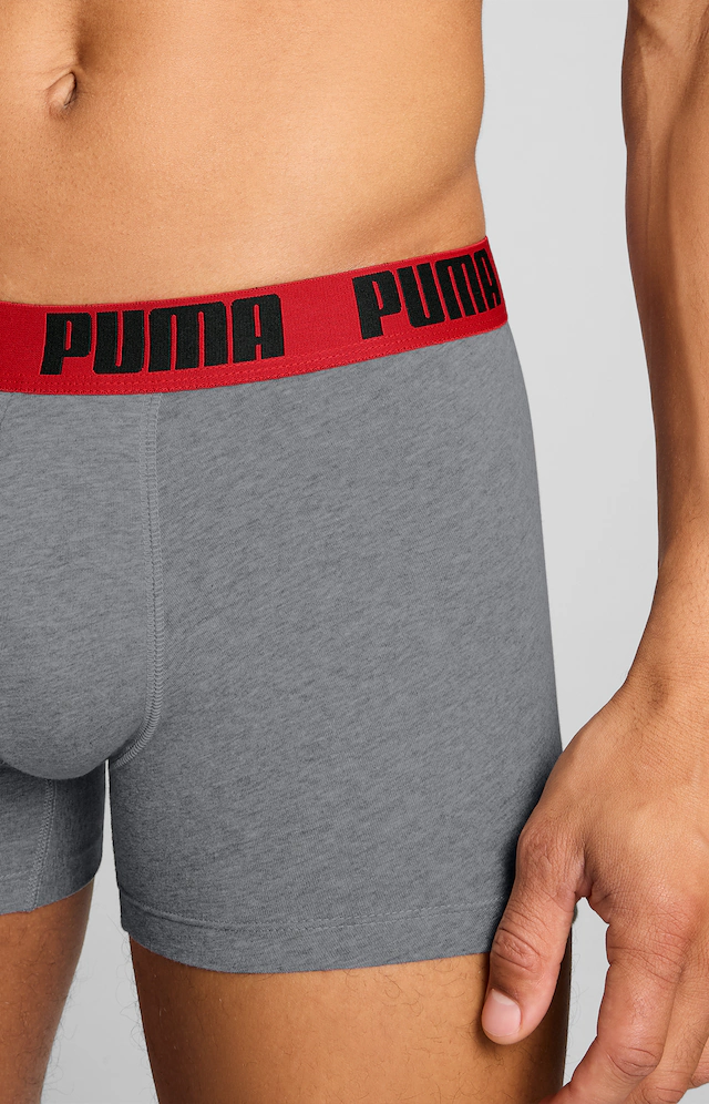 PUMA Boxershorts »PUMA MEN EVERYDAY BASIC BOXERS 2P« Packung, mit Puma Webbund