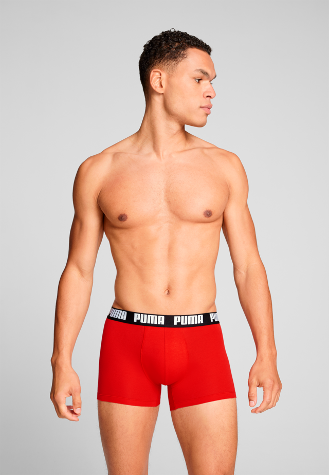 PUMA Boxershorts »PUMA MEN EVERYDAY BASIC BOXERS 2P« Packung, mit Puma Webbund