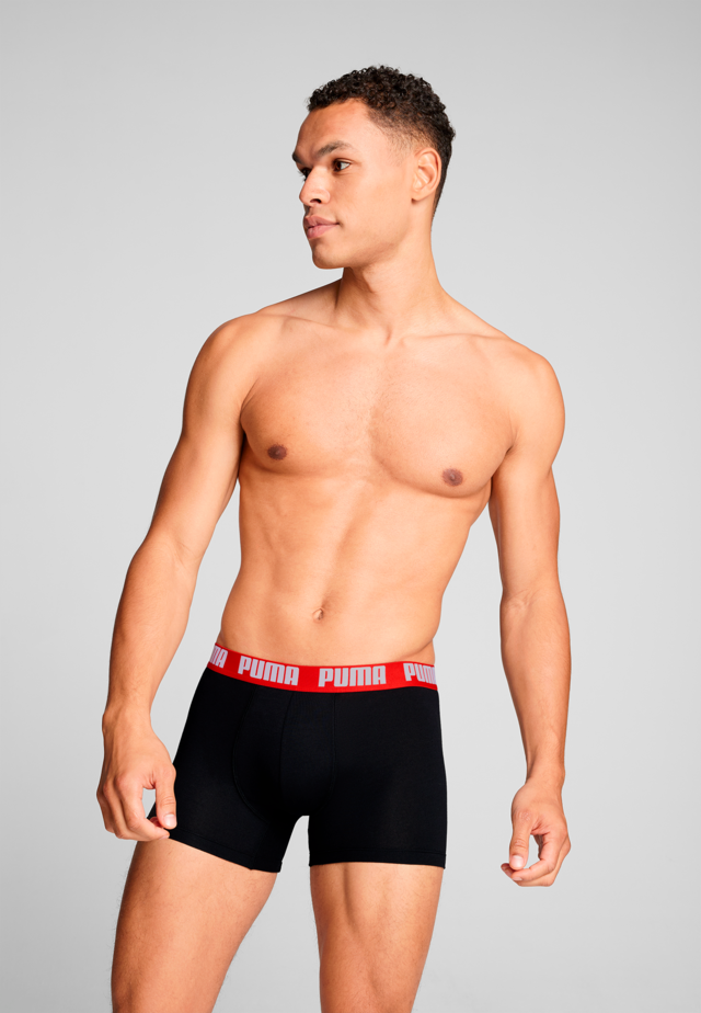 PUMA Boxershorts »PUMA MEN EVERYDAY BASIC BOXERS 2P« Packung, mit Puma Webbund