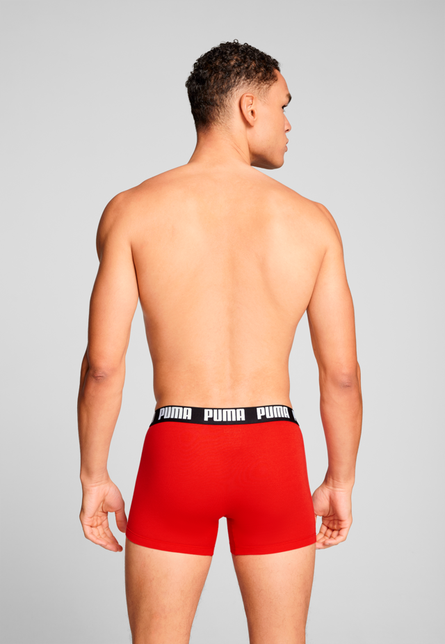 PUMA Boxershorts »PUMA MEN EVERYDAY BASIC BOXERS 2P« Packung, mit Puma Webbund