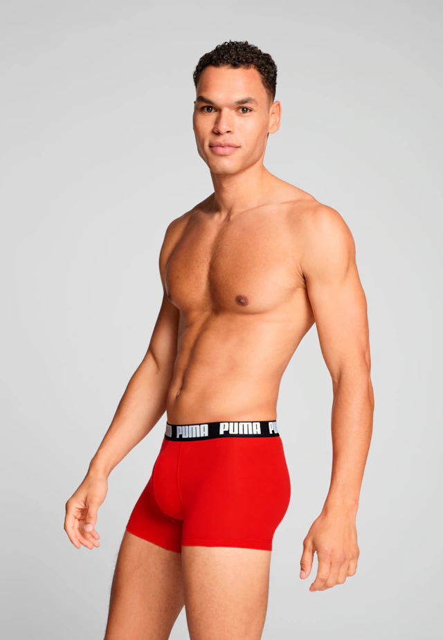 PUMA Boxershorts »PUMA MEN EVERYDAY BASIC BOXERS 2P« Packung, mit Puma Webbund