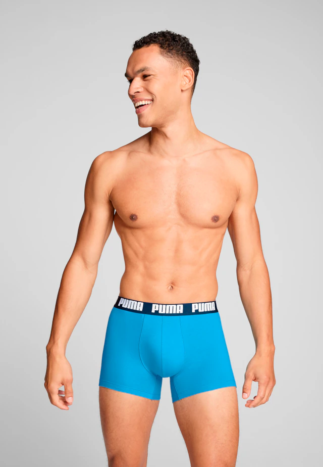 PUMA Boxershorts »PUMA MEN EVERYDAY BASIC BOXERS 2P« Packung, mit Puma Webbund