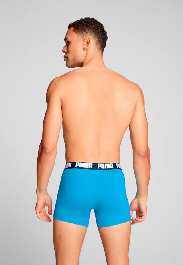 PUMA Boxershorts »PUMA MEN EVERYDAY BASIC BOXERS 2P« Packung, mit Puma Webbund