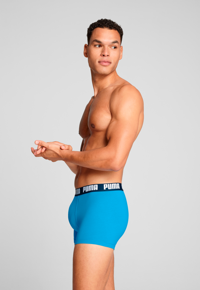 PUMA Boxershorts »PUMA MEN EVERYDAY BASIC BOXERS 2P« Packung, mit Puma Webbund