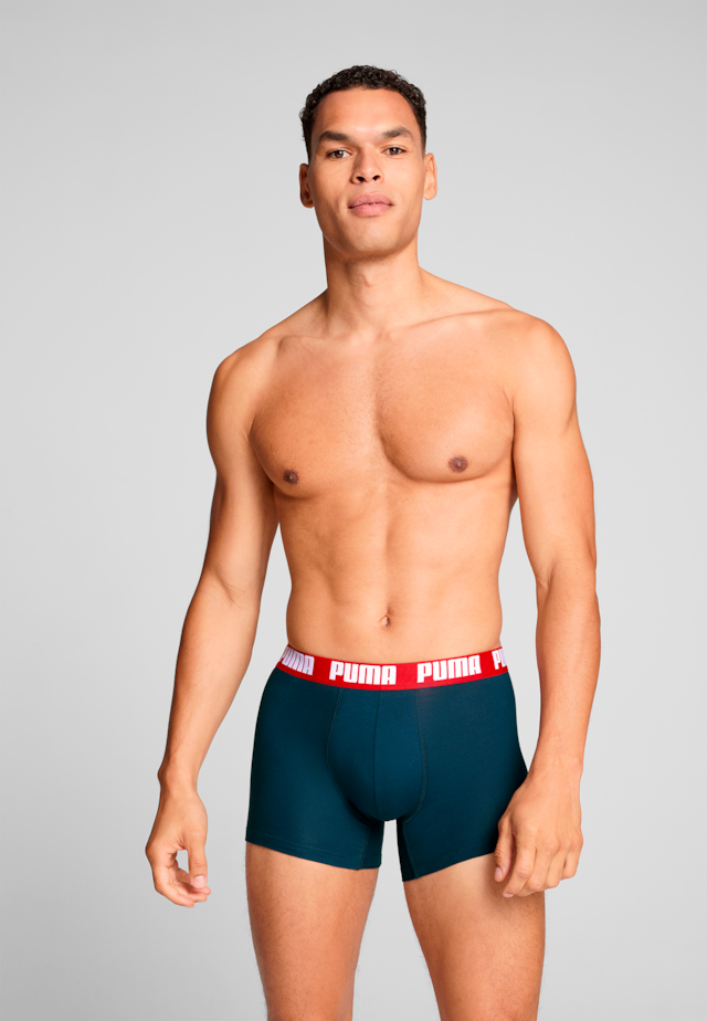 PUMA Boxershorts »PUMA MEN EVERYDAY BASIC BOXERS 2P« Packung, mit Puma Webbund