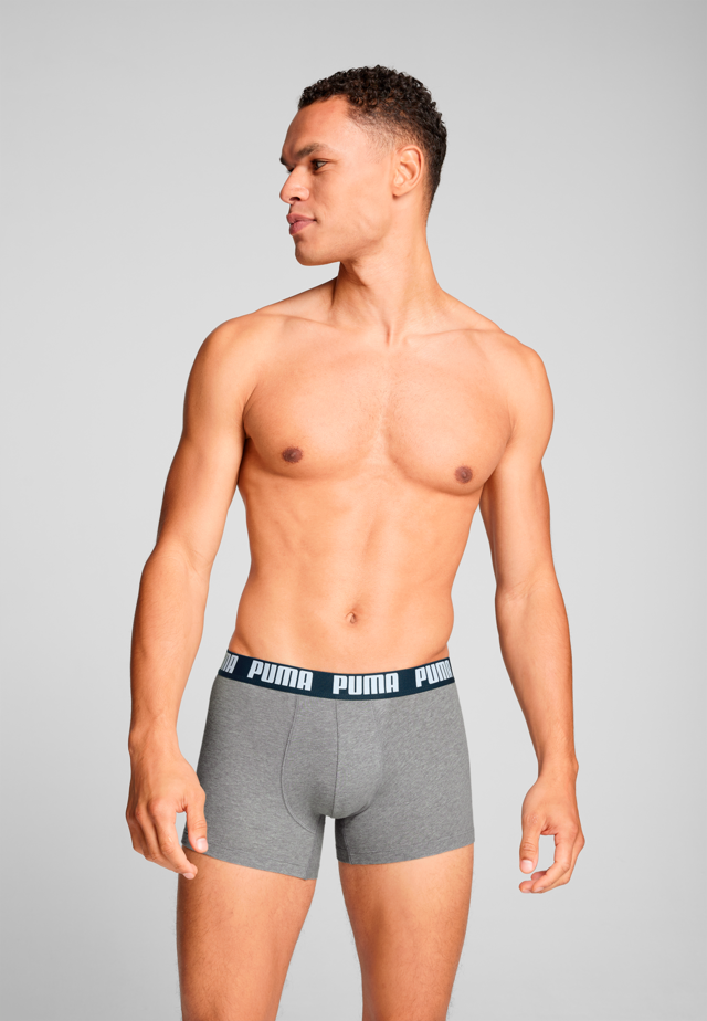 PUMA Boxershorts »PUMA MEN EVERYDAY BASIC BOXERS 2P« Packung, mit Puma Webbund