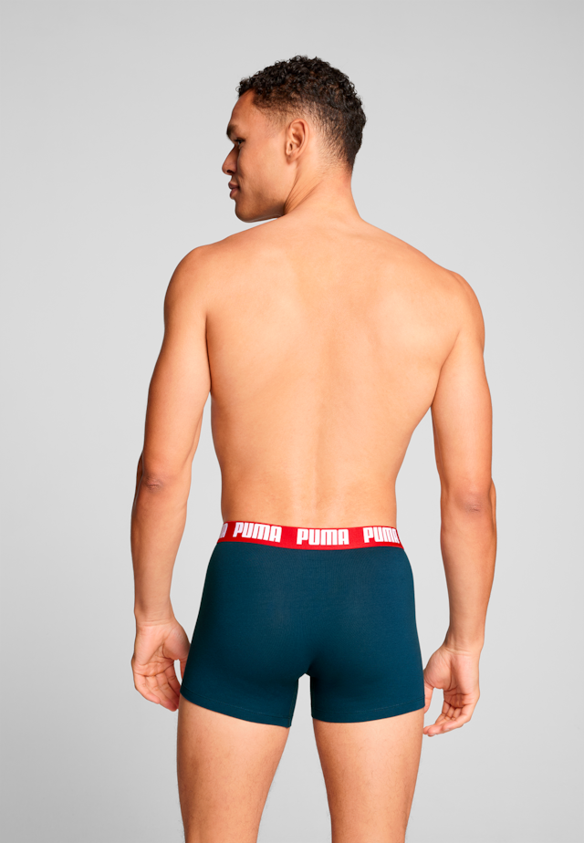 PUMA Boxershorts »PUMA MEN EVERYDAY BASIC BOXERS 2P« Packung, mit Puma Webbund