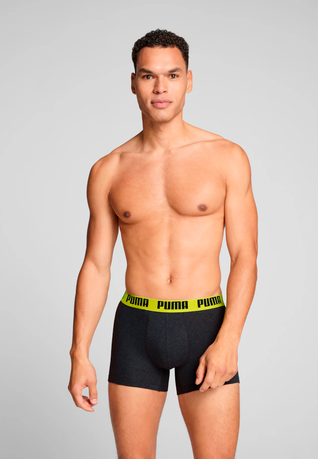 PUMA Boxershorts »PUMA MEN EVERYDAY BASIC BOXERS 2P« Packung, mit Puma Webbund