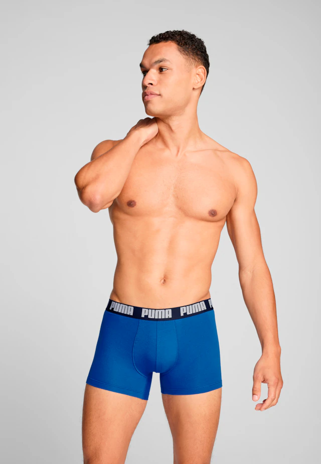 PUMA Boxershorts »PUMA MEN EVERYDAY BASIC BOXERS 2P« Packung, mit Puma Webbund