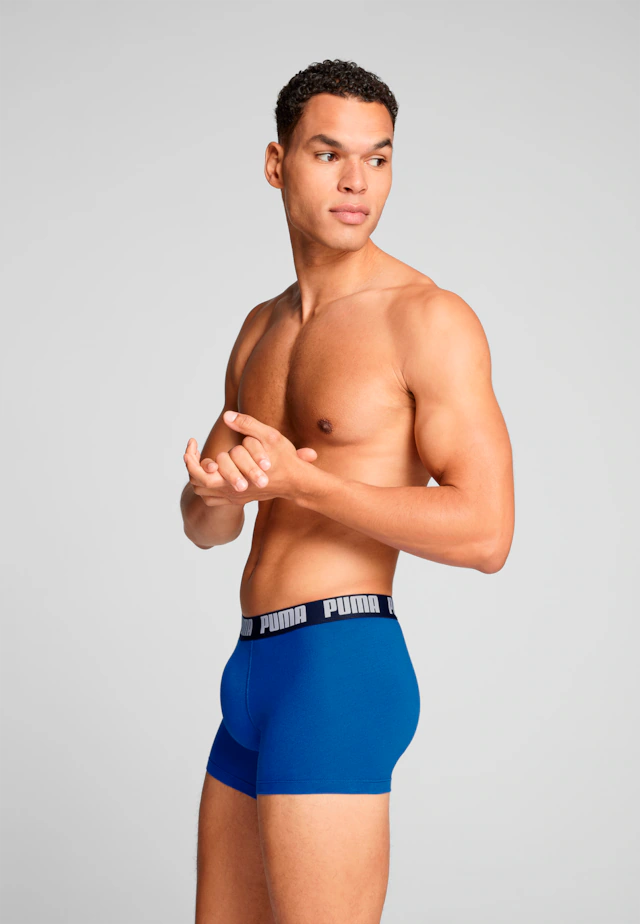 PUMA Boxershorts »PUMA MEN EVERYDAY BASIC BOXERS 2P« Packung, mit Puma Webbund