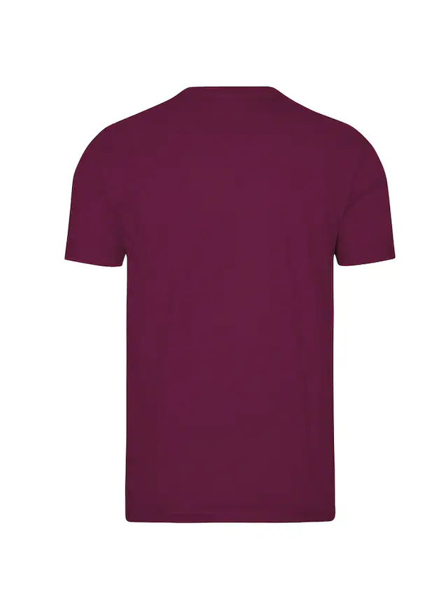 Trigema T-Shirt »TRIGEMA V-Shirt DELUXE Baumwolle« 1 Stk.