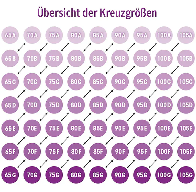 LASCANA Schalen-BH », T-Shirt-BH, Bügel-BH, Ela - perfect basic« aus seidiger Microfaser, bequemer BH, große Größen
