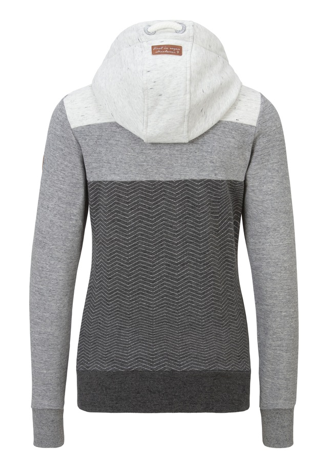 Ragwear Sweatjacke »TREGA ZIP O« im Colorblocking-Design