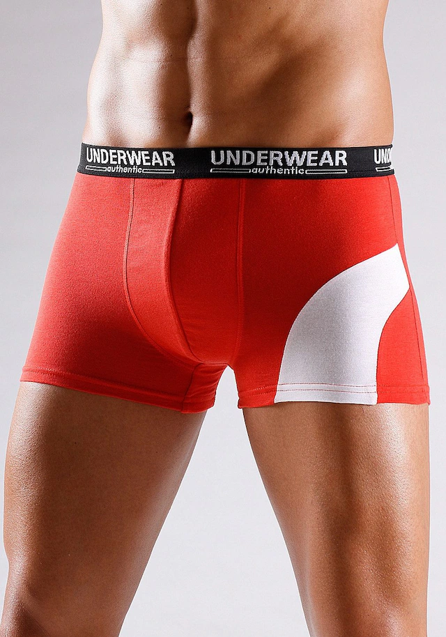 AUTHENTIC LE JOGGER Boxer »Boxershorts für Herren« Packung, 4 Stk. mit kontrastfarbenen Einsatz
