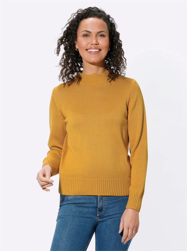 Casual Looks Stehkragenpullover »Pullover«