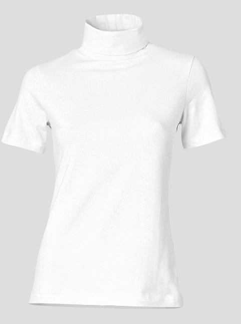 LINEA TESINI by heine Rollkragenshirt »Rollkragen-Shirt« 1 Stk.