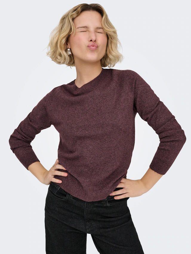 ONLY Rundhalspullover »ONLRICA LIFE L/S PULLOVER KNT NOOS« Materialmix, regular fit