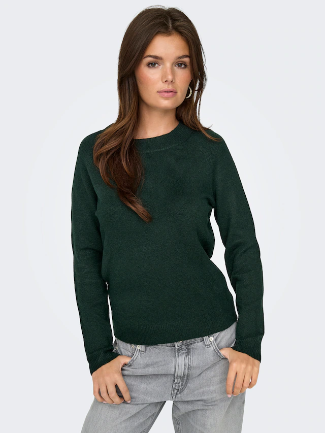 ONLY Rundhalspullover »ONLRICA LIFE L/S PULLOVER KNT NOOS« Materialmix, regular fit