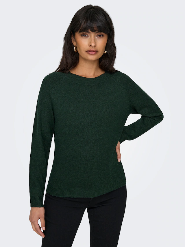 ONLY Rundhalspullover »ONLRICA LIFE L/S PULLOVER KNT NOOS« Materialmix, regular fit