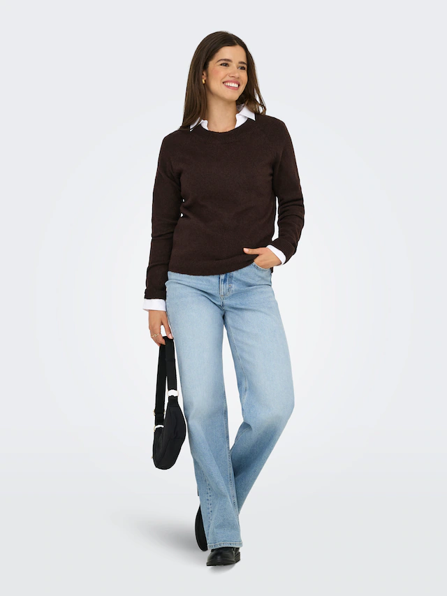 ONLY Rundhalspullover »ONLRICA LIFE L/S PULLOVER KNT NOOS« Materialmix, regular fit
