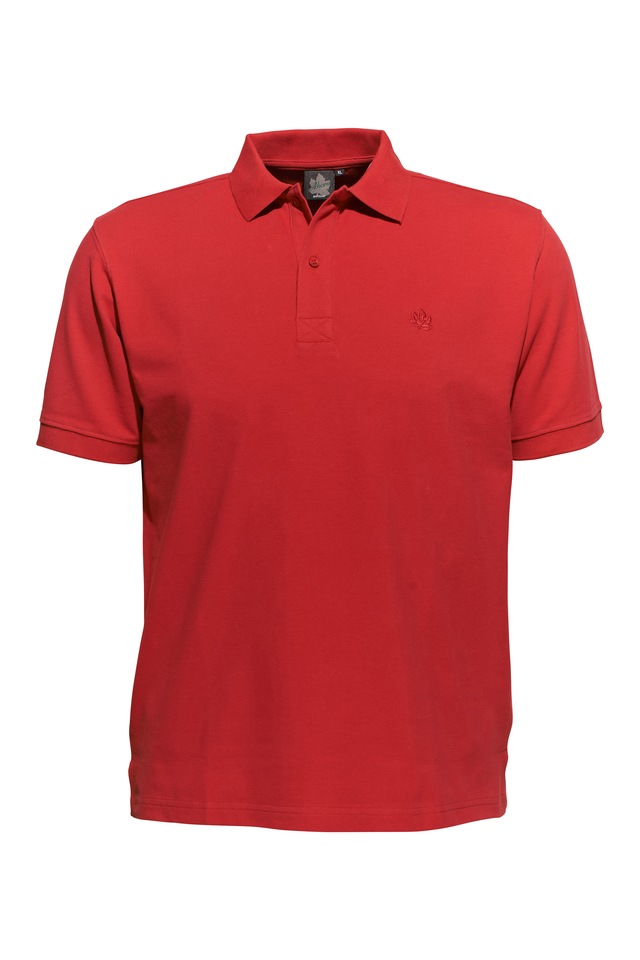 AHORN SPORTSWEAR Poloshirt in klassischem Design