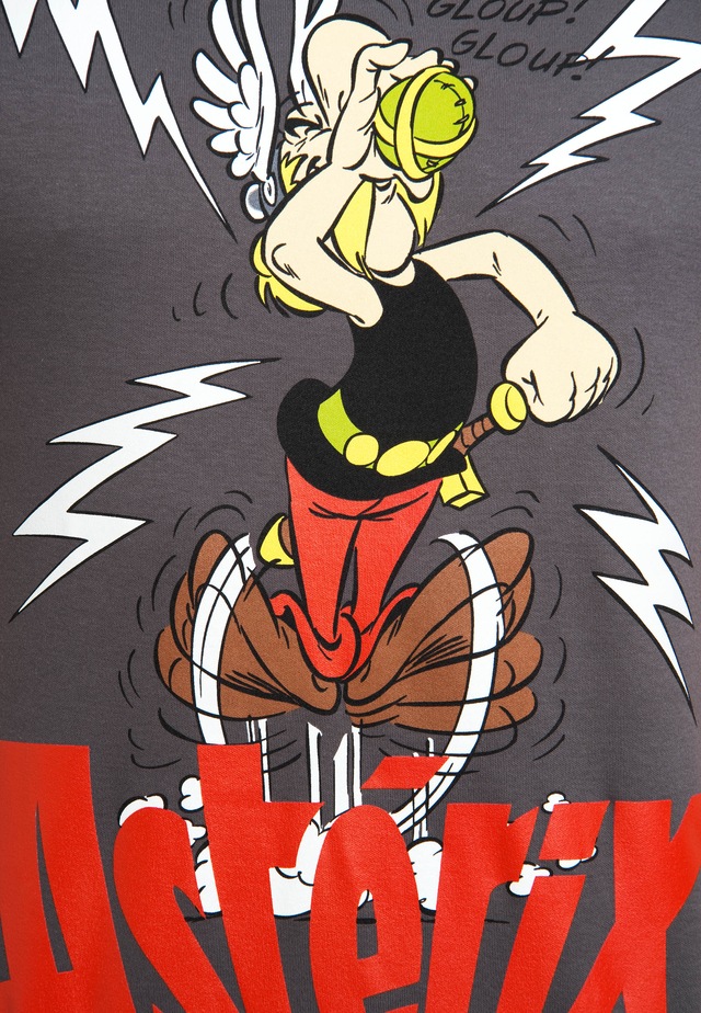 LOGOSHIRT T-Shirt »Asterix Le Gaulois« mit Asterix- und Zaubertrank-Print
