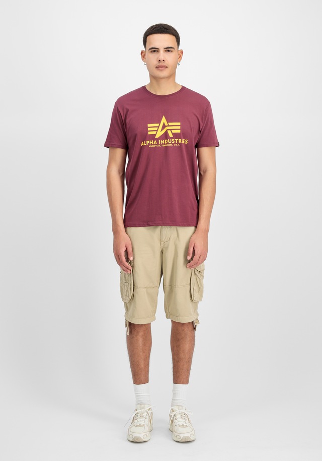 Alpha Industries T-Shirt »Basic BL T-Shirt«