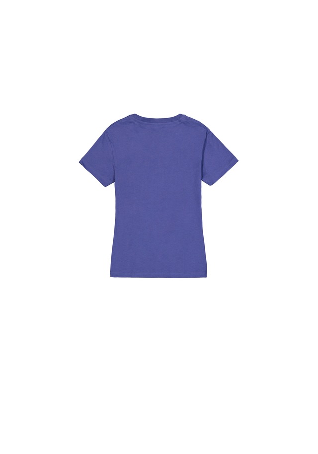 Alpha Industries T-Shirt »New Basic BL T-Shirt W«