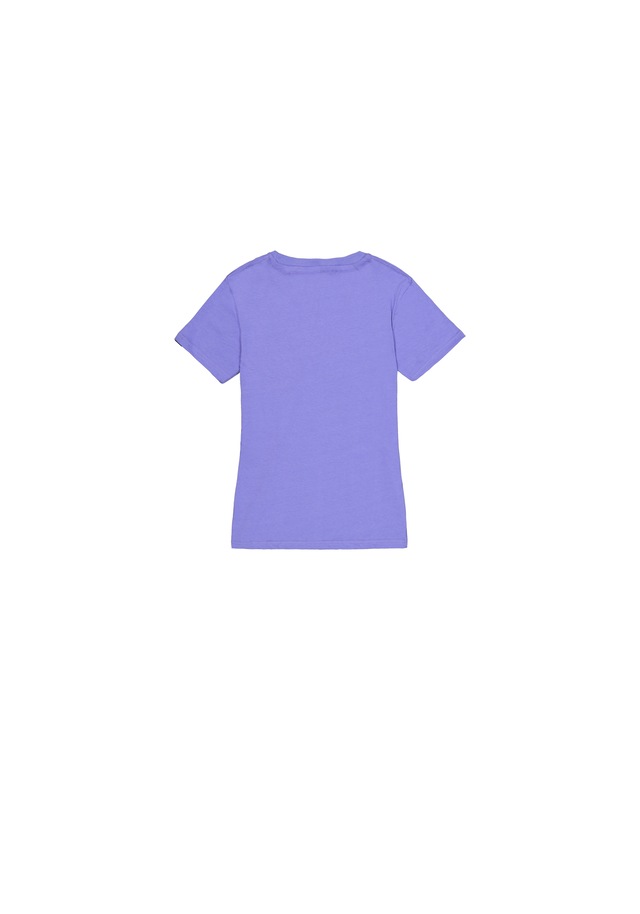 Alpha Industries T-Shirt »New Basic BL T-Shirt W«