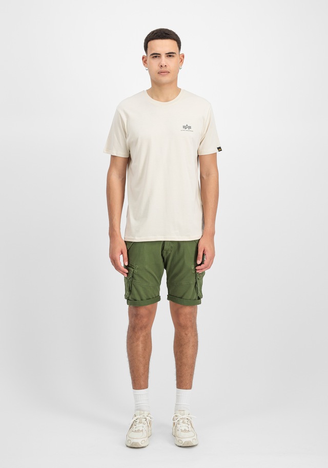 Alpha Industries T-Shirt »Backprint T-Shirt«