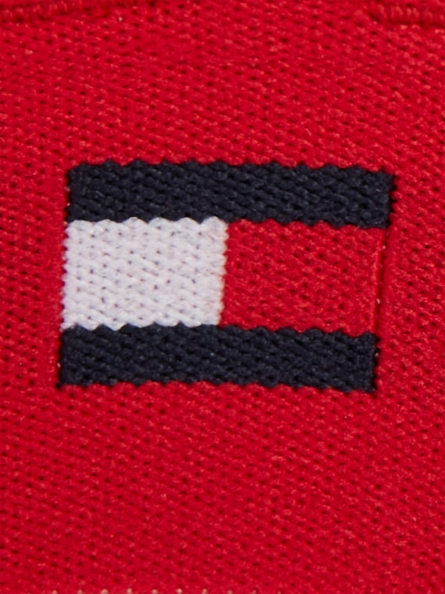 Tommy Hilfiger Swimwear Triangel-Bikini-Top »TH TRIANGLE FIXED FOAM« mit Tommy Hilfiger-Branding