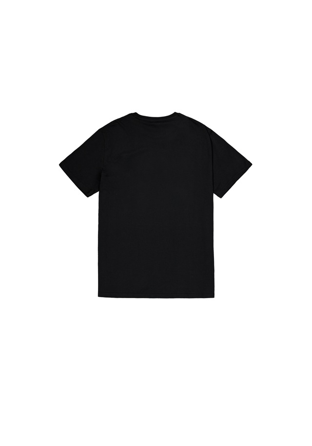 Alpha Industries T-Shirt »Basic BL T-Shirt«