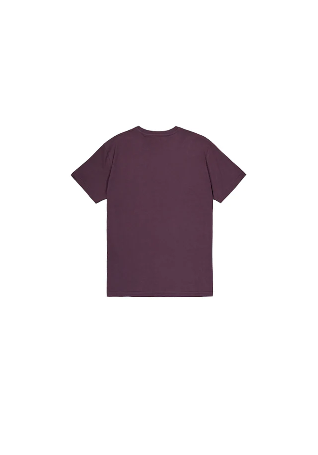 Alpha Industries T-Shirt »Basic BL T-Shirt«