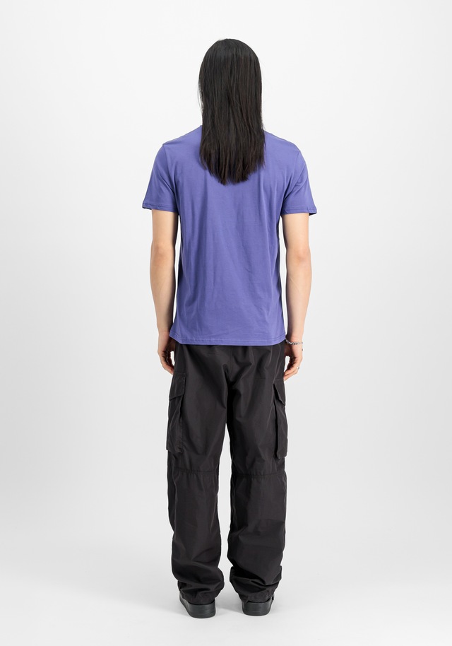 Alpha Industries T-Shirt »Basic BL T-Shirt«