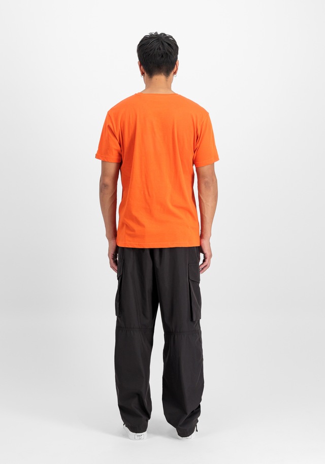 Alpha Industries T-Shirt »Basic BL T-Shirt«