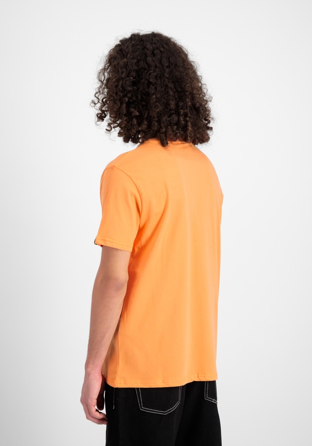 Alpha Industries T-Shirt »Basic BL T-Shirt«