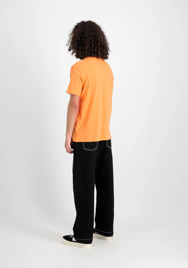 Alpha Industries T-Shirt »Basic BL T-Shirt«