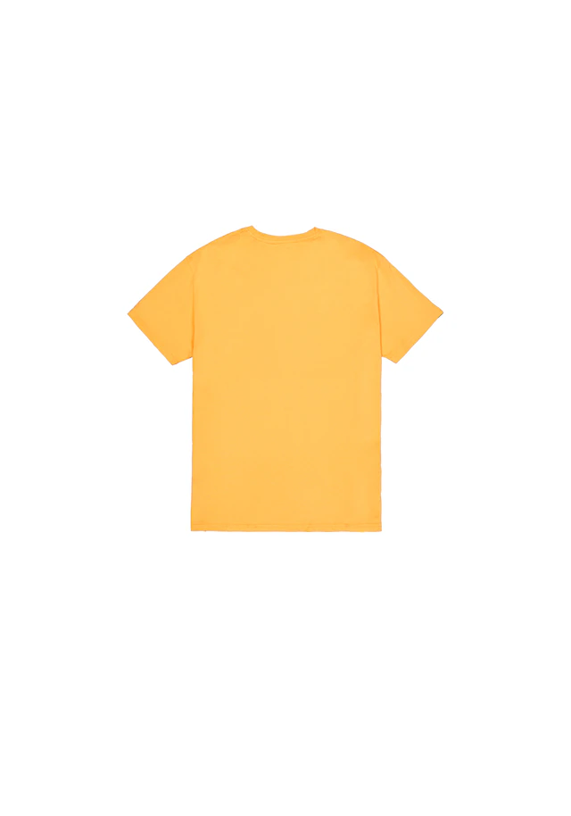 Alpha Industries T-Shirt »Basic BL T-Shirt«