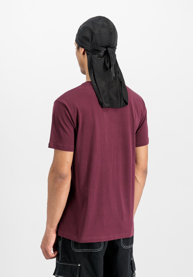 Alpha Industries T-Shirt »Basic BL T-Shirt«