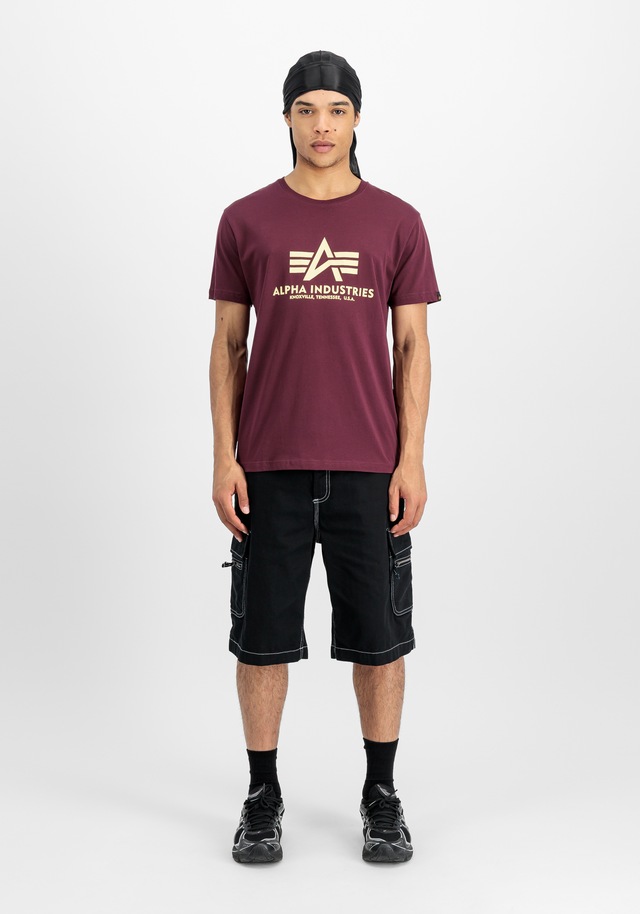 Alpha Industries T-Shirt »Basic BL T-Shirt«