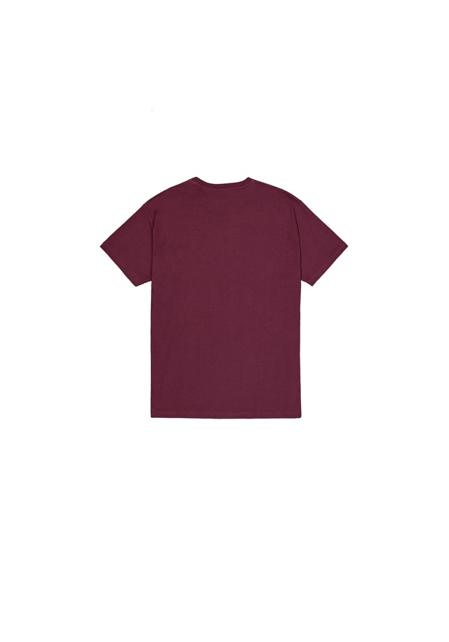 Alpha Industries T-Shirt »Basic BL T-Shirt«
