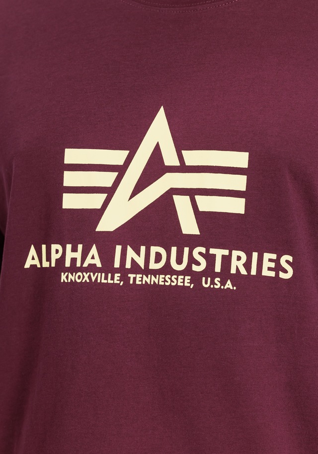 Alpha Industries T-Shirt »Basic BL T-Shirt«
