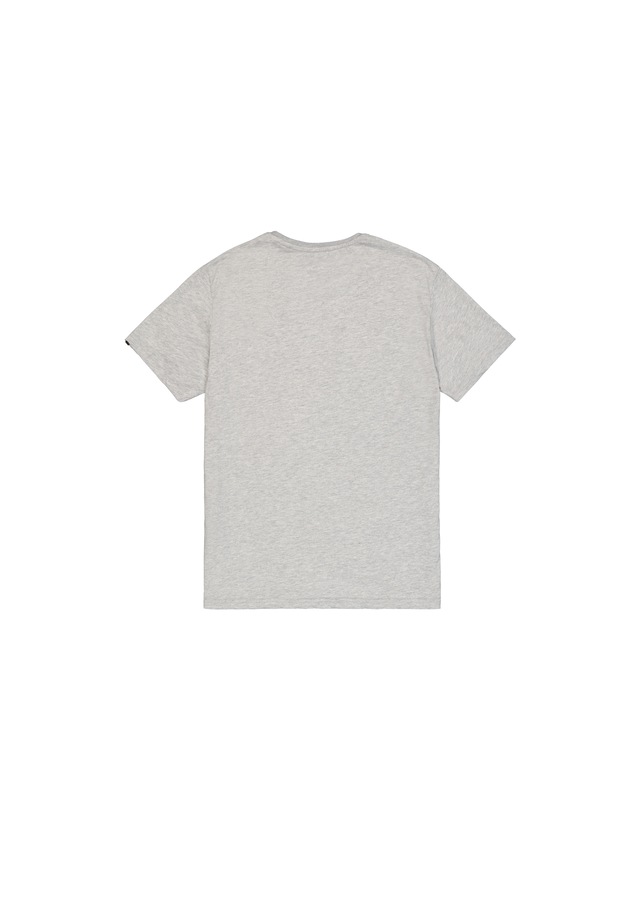 Alpha Industries T-Shirt »Basic BL T-Shirt«