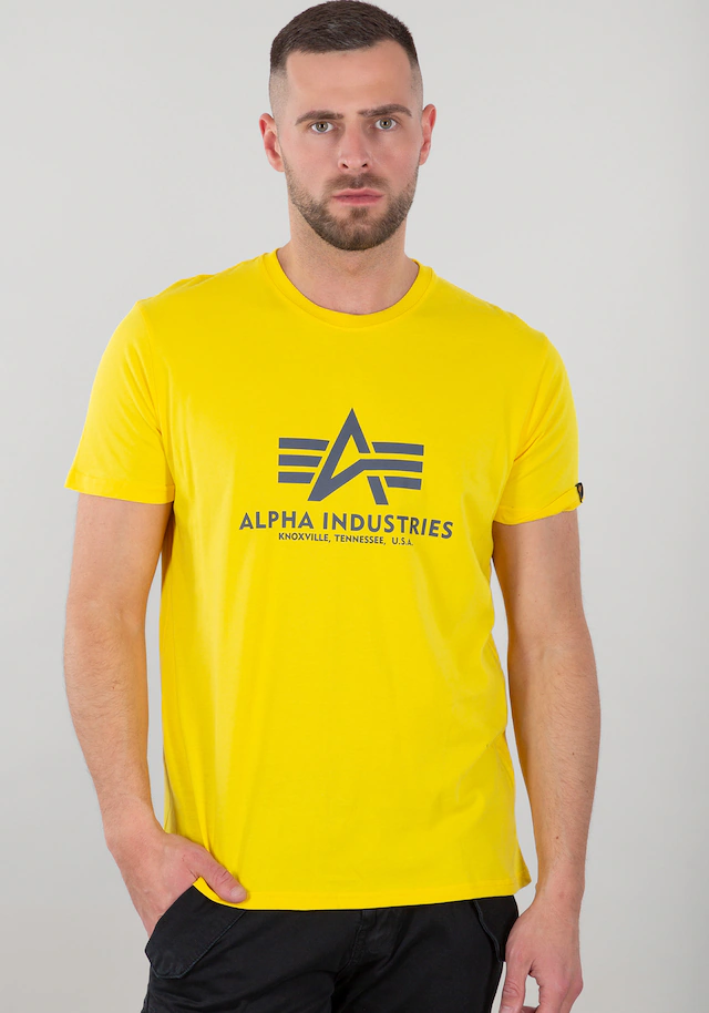 Alpha Industries T-Shirt »Basic BL T-Shirt«